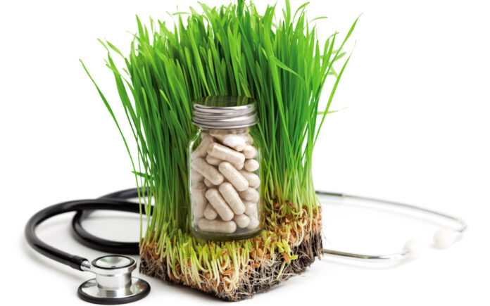 naturopathic doctor Melbourne
