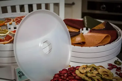 Dehydrator