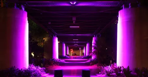 Designer lighting Sydney