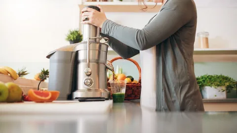  Cold Press Juicer