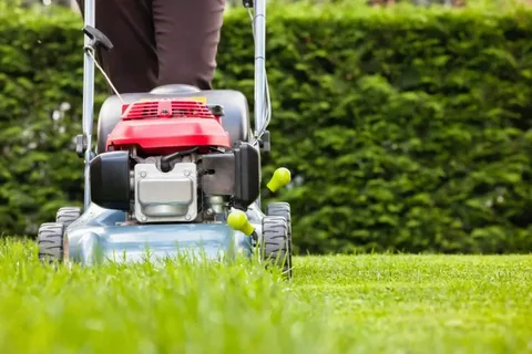 Masport Mowers Brisbane, Push Lawn Mowers Brisbane, Push Mowers Brisbane 