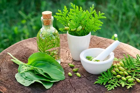  Natural Medicine Melbourne