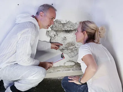 Sydney Mold Removal