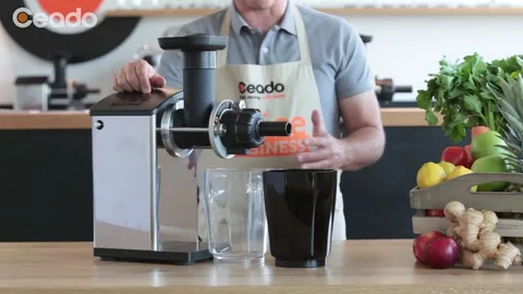 Commercial Cold Press Juicer