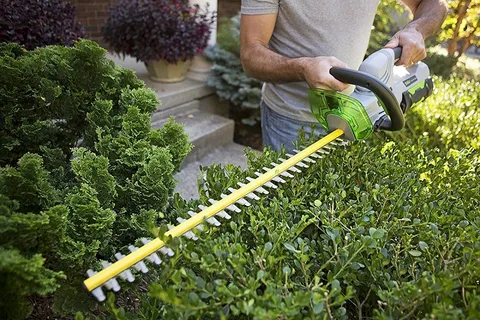 Hedge Trimmers Brisbane